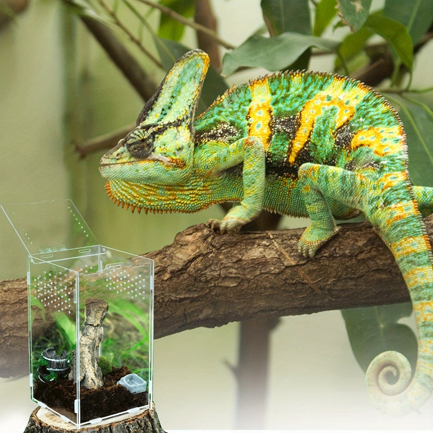 Premium cage for iguanas, snakes, and spiders 