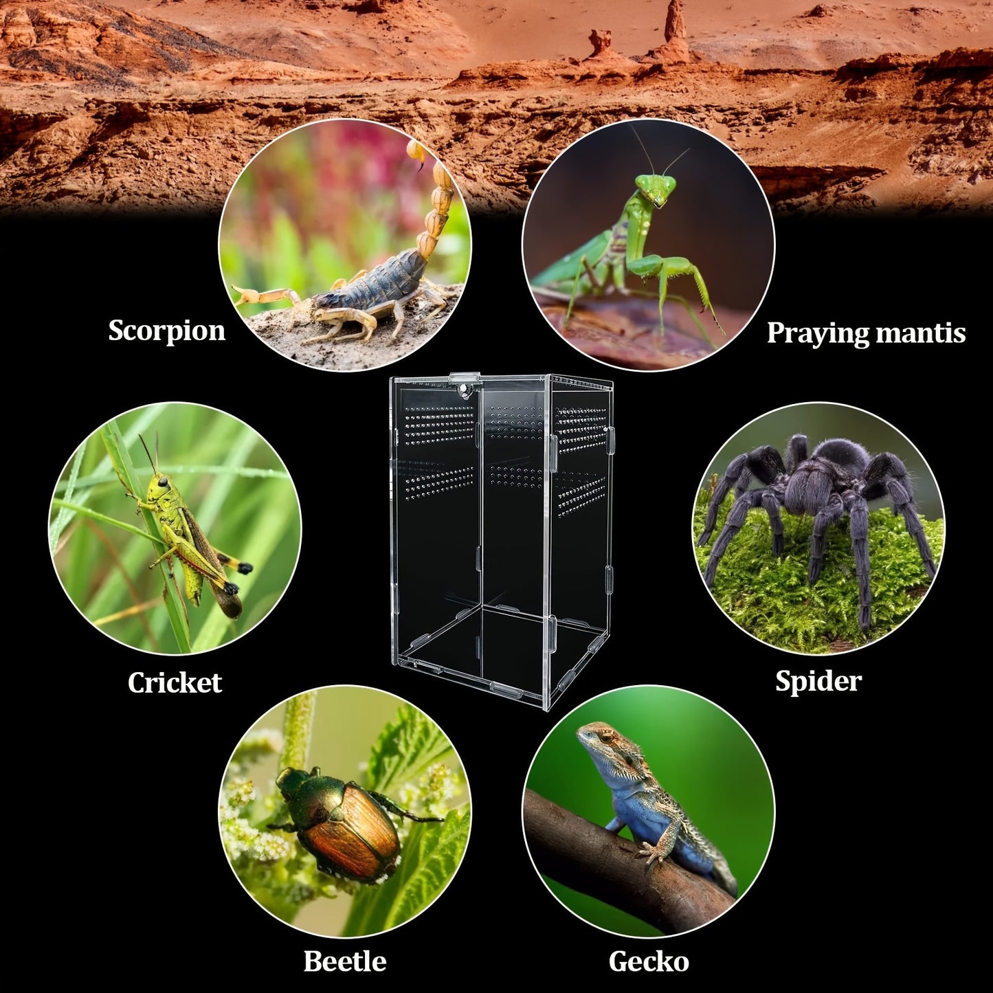 Premium cage for iguanas, snakes, and spiders 