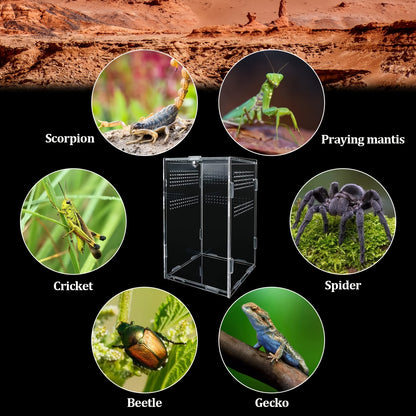 Premium cage for iguanas, snakes, and spiders 