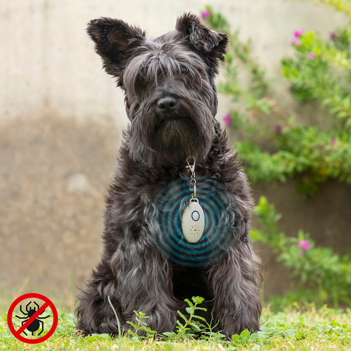 Rechargeable Ultrasonic Pet Parasite Repeller