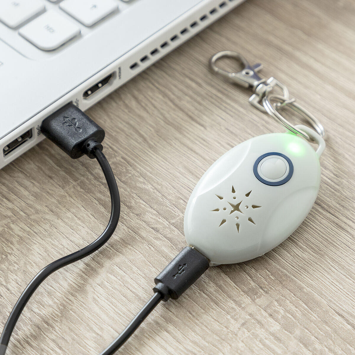 Rechargeable Ultrasonic Pet Parasite Repeller