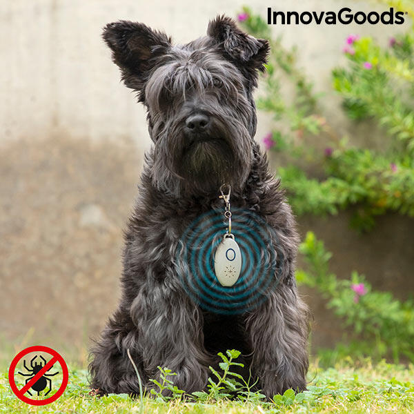 Rechargeable Ultrasonic Pet Parasite Repeller