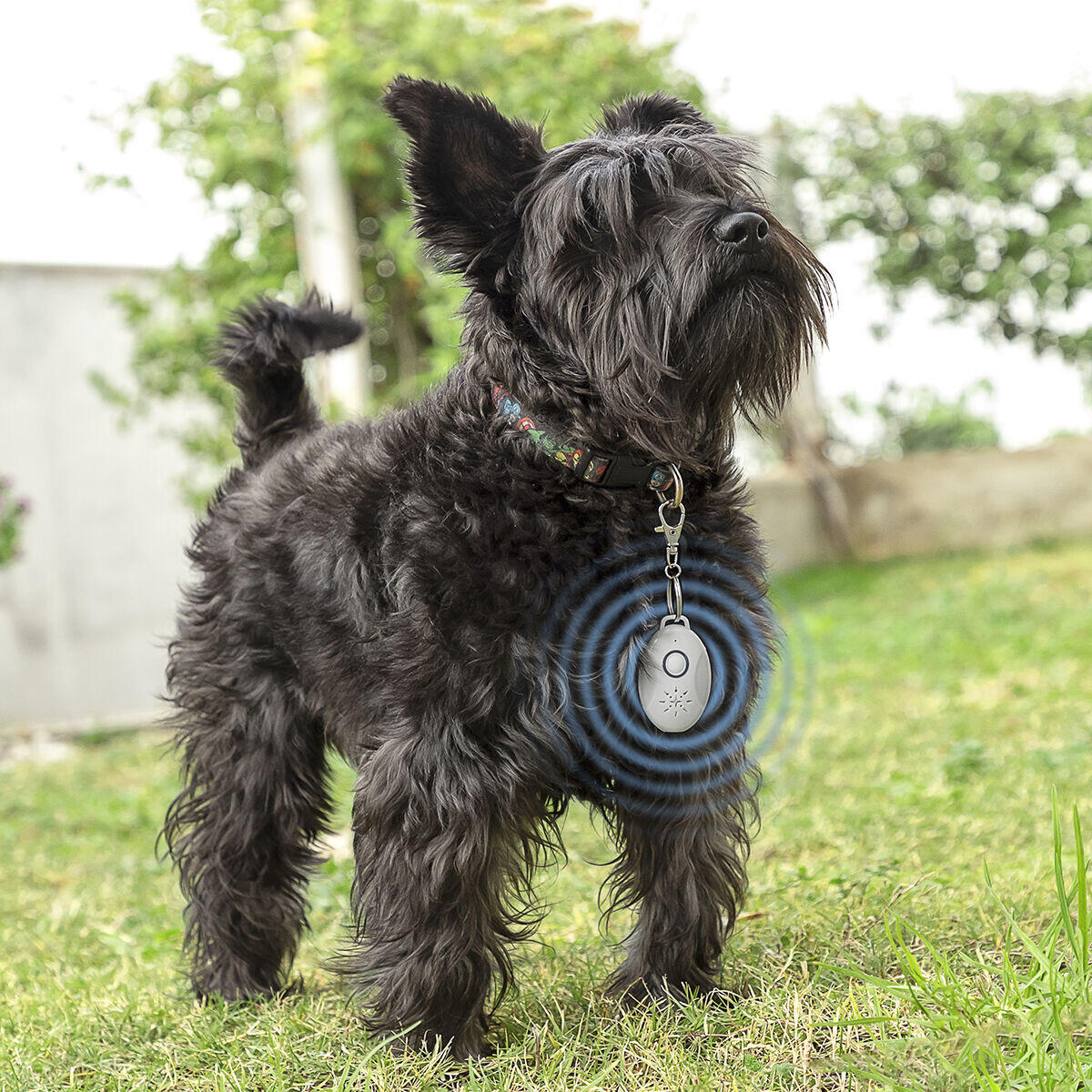 Rechargeable Ultrasonic Pet Parasite Repeller