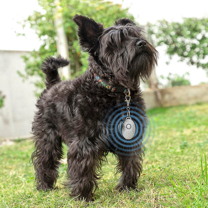 Rechargeable Ultrasonic Pet Parasite Repeller